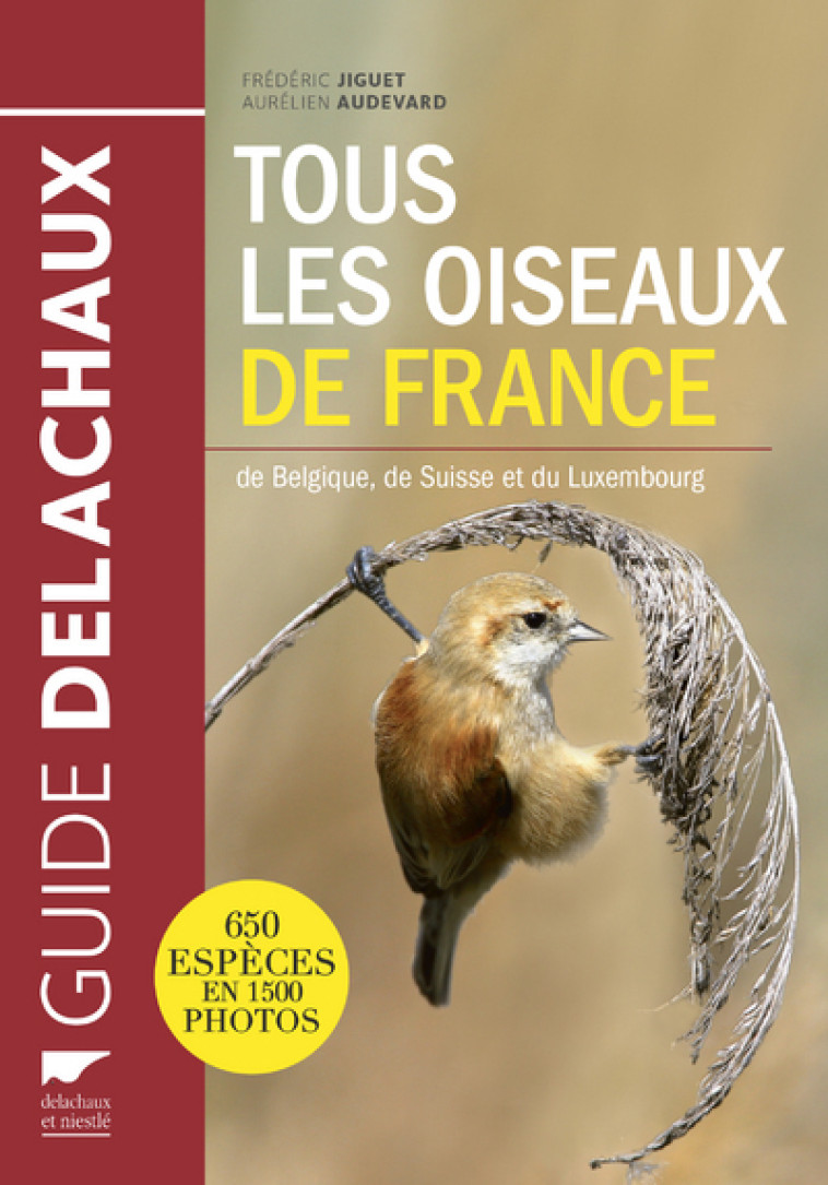 Tous les oiseaux de France - Aurélien Audevard, Frédéric Jiguet - DELACHAUX