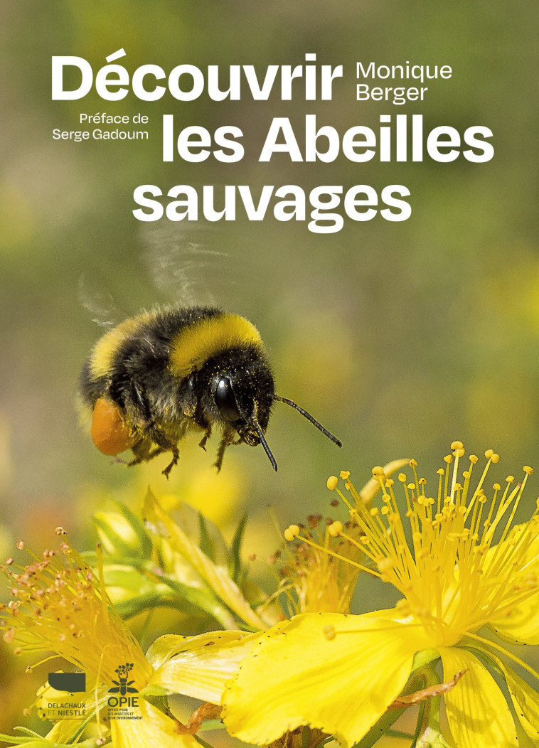 Découvrir les abeilles sauvages - Monique Berger, Serge Gadoum - DELACHAUX