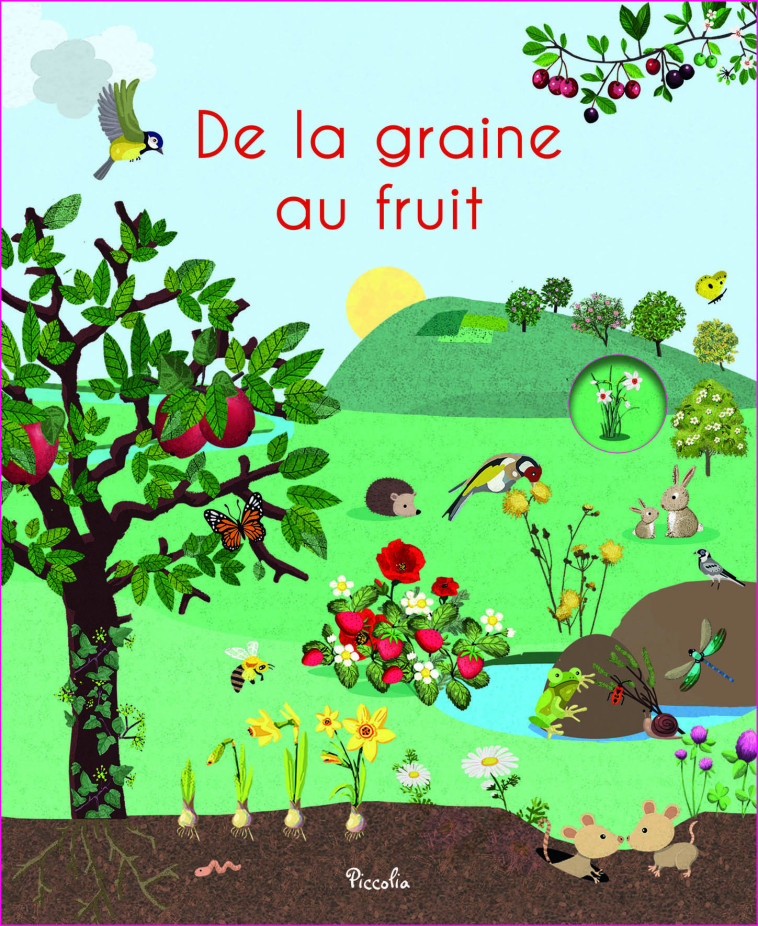 De la graine au fruit  - Nicole Colas des Francs - PICCOLIA