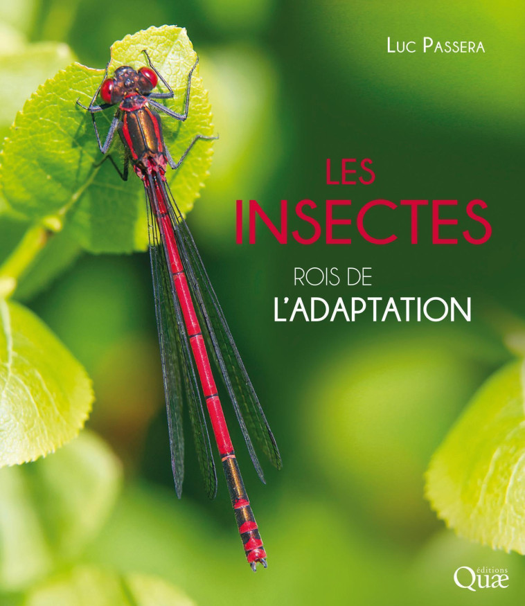 Les insectes - Luc Passera - QUAE