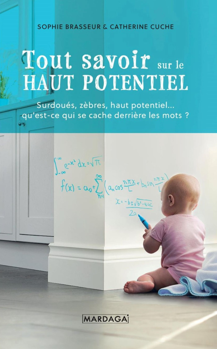 Tout savoir sur le Haut Potentiel - Sophie Brasseur, Catherine Cuche - MARDAGA PIERRE