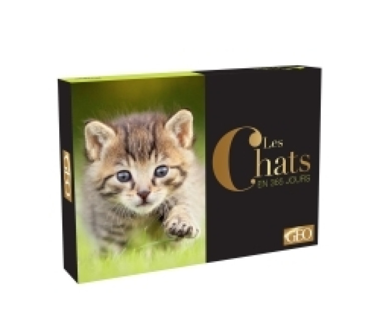 Calendrier Géo - Chats en 365 jours -  PLAYBAC EDITIONS - PLAY BAC