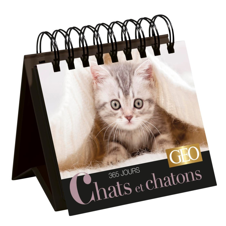 365 jours Chats et chatons  - Calendrier Géo -  PLAYBAC EDITIONS - PLAY BAC