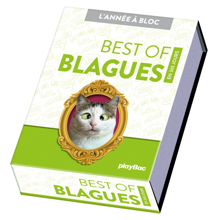 Calendrier Best of blagues en 365 jours - L'Année à bloc -  PLAYBAC EDITIONS - PLAY BAC