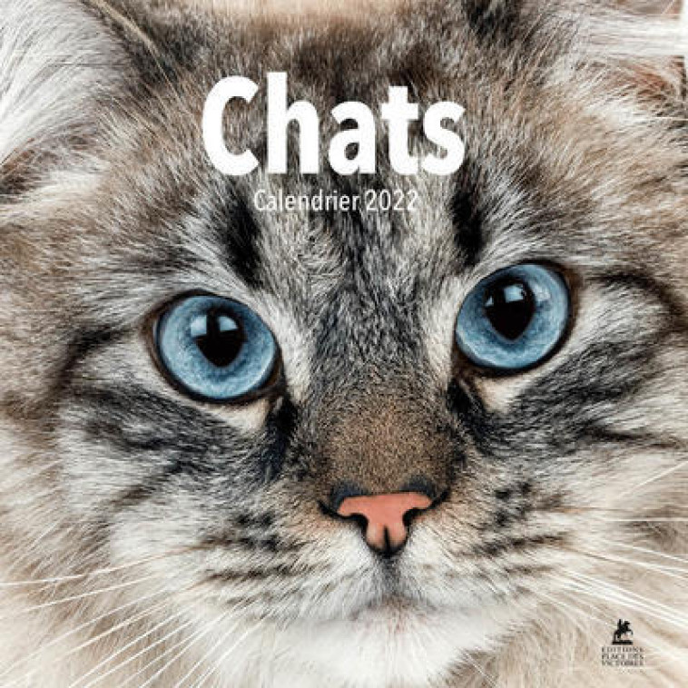 Chats - Calendrier 2022 - Collectif Collectif - PLACE VICTOIRES