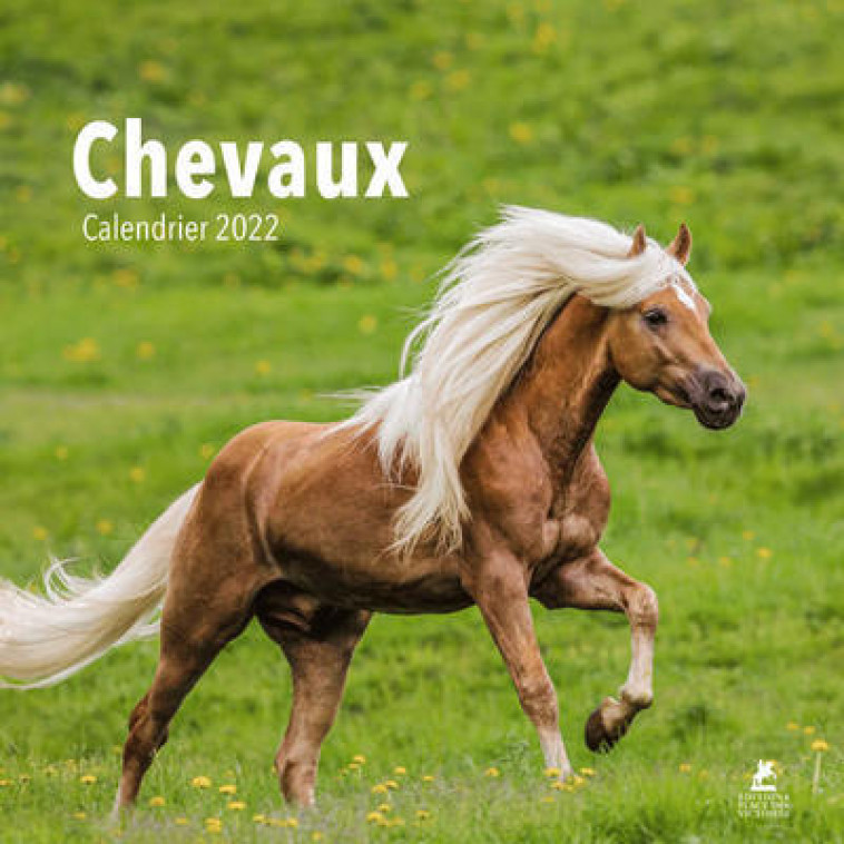 Chevaux - Calendrier 2022 - Collectif Collectif - PLACE VICTOIRES