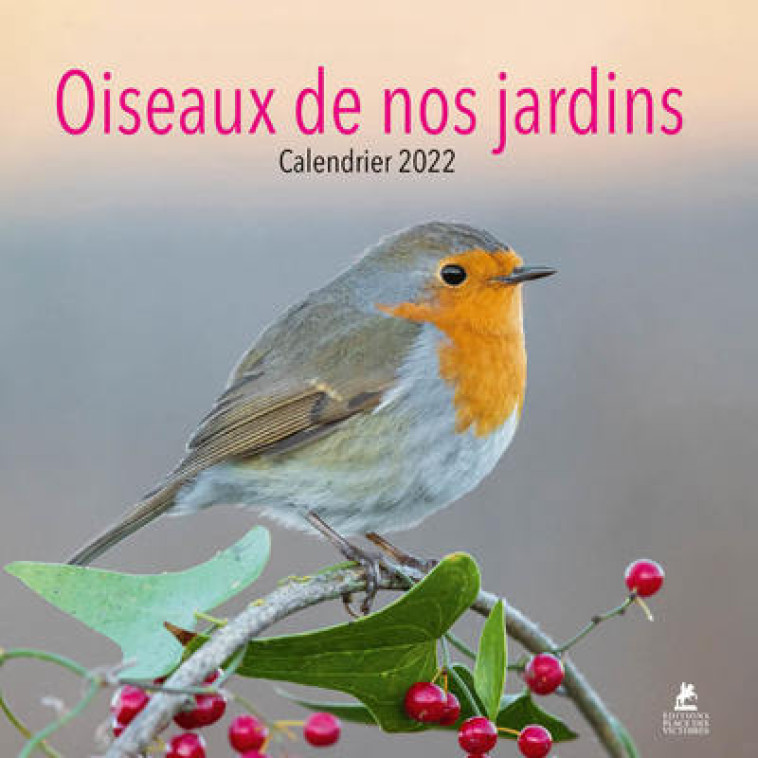 Oiseaux de nos jardins - Calendrier 2022 - Collectif Collectif - PLACE VICTOIRES