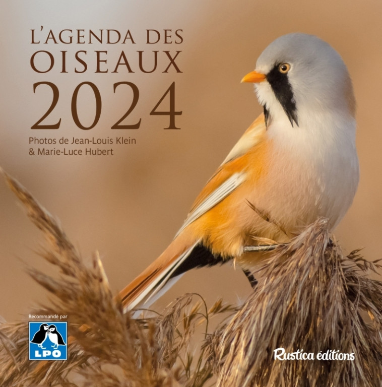 L'agenda des oiseaux 2024 - Marie-Luce Hubert, Jean-Louis Klein - RUSTICA