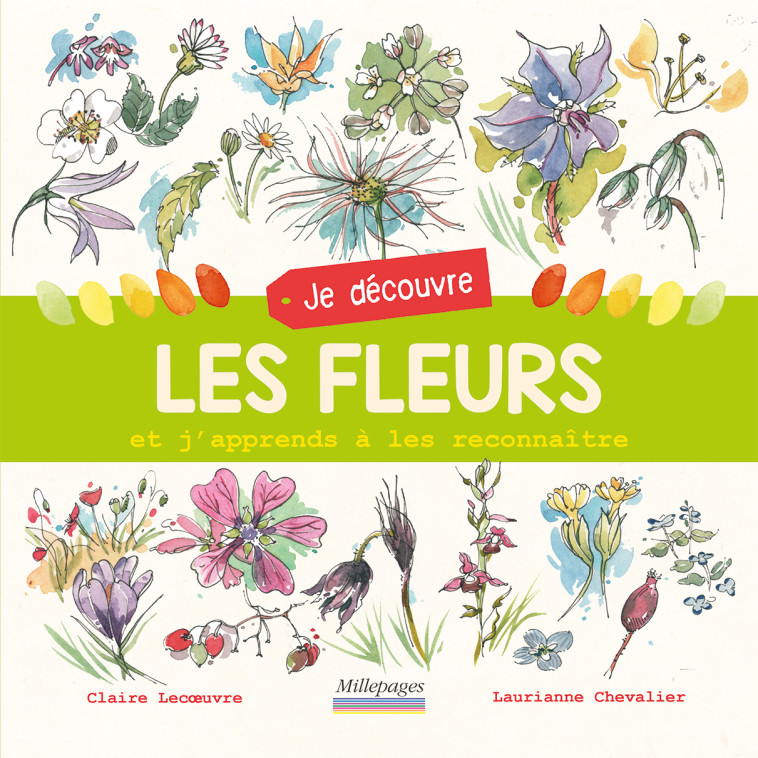 Je découvre les fleurs -  Chevalier Laurianne, Claire Lecoeuvre - MILLEPAGES