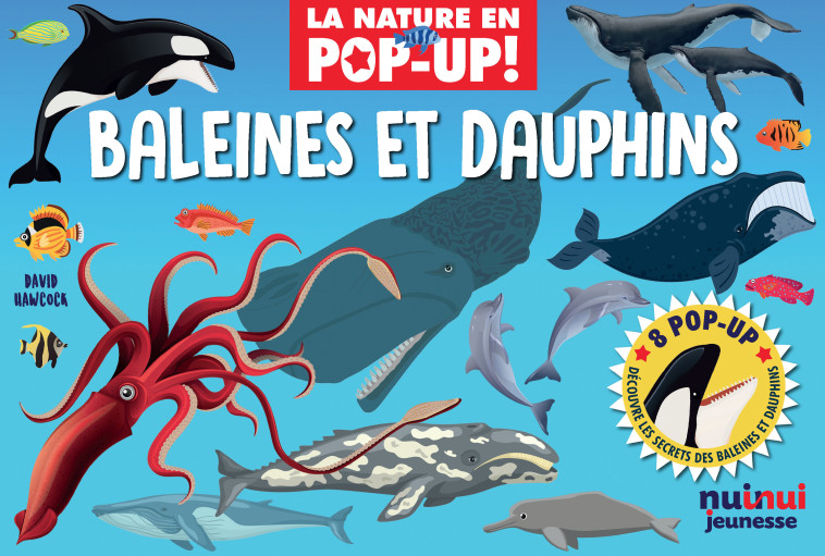 La nature en pop-up - Baleines et dauphins - David Hawcock, Cécile Breffort - NUINUI JEUNESSE