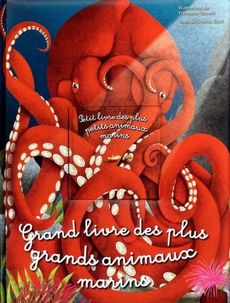 Grand livre des plus grands animaux marins/Petit livre des plus petits animaux marins - Francesca Cosanti, Christina M. Banfi, Emmanuelle Peras, Francesca Cosanti, Christina M. Banfi, Emmanuelle Peras - WHITE STAR KIDS