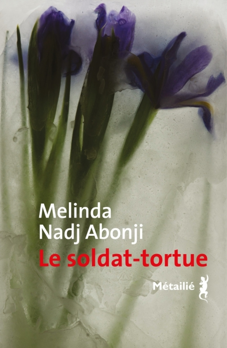 Le Soldat-tortue - Melinda Nadj Abonji - METAILIE