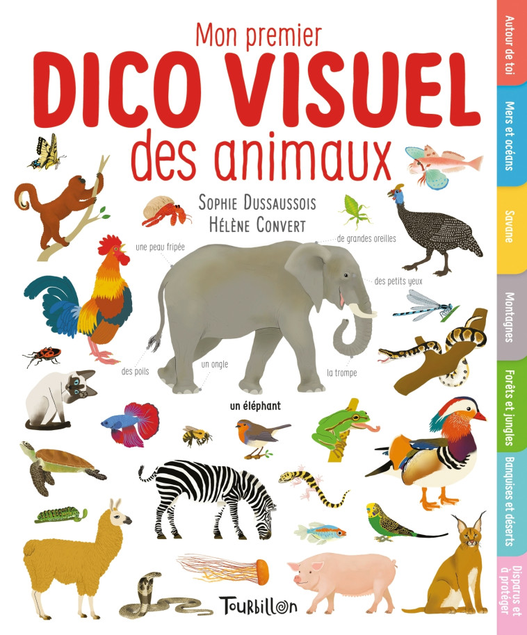 Mon premier dico visuel des animaux - Sophie Dussaussois, Hélène Convert - TOURBILLON