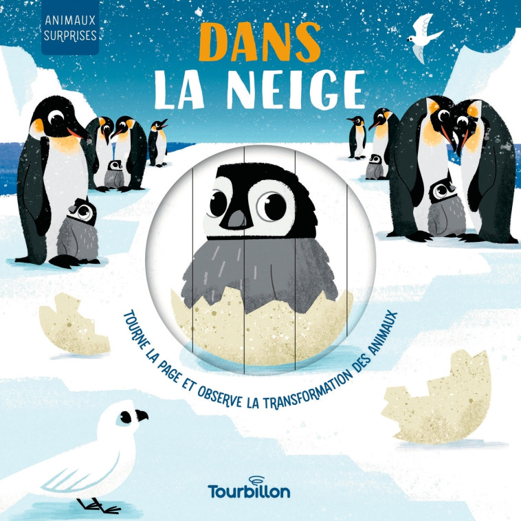 Dans la neige - Harriet STONE, David PARTINGTON - TOURBILLON