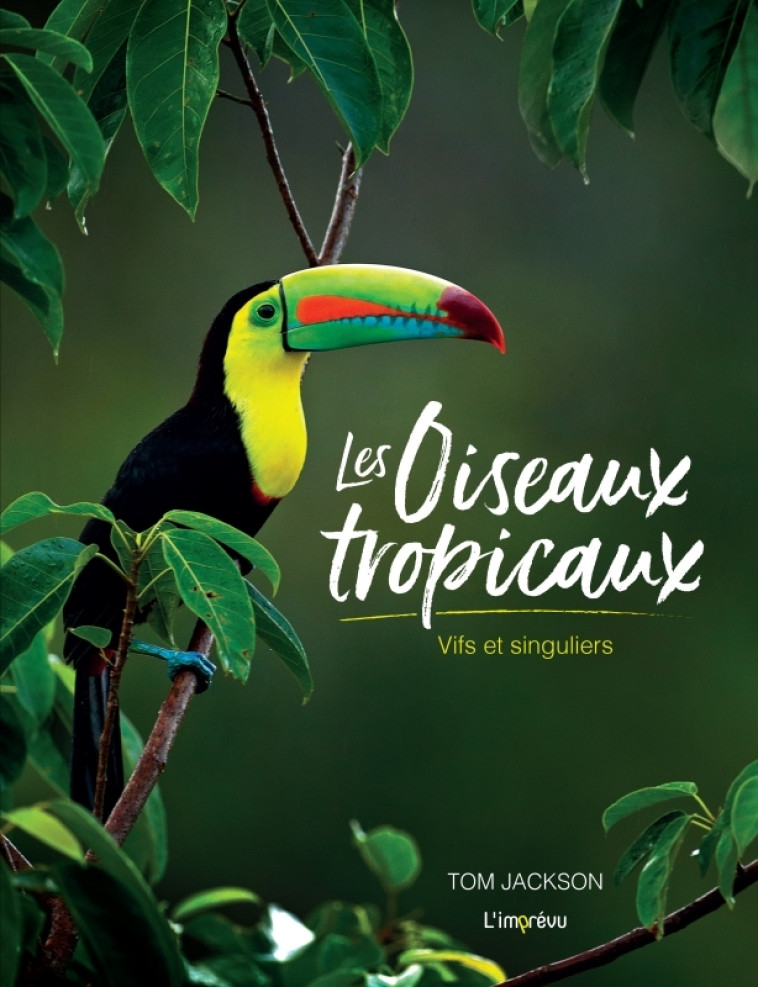 Les oiseaux tropicaux - Tom Jackson - L IMPREVU