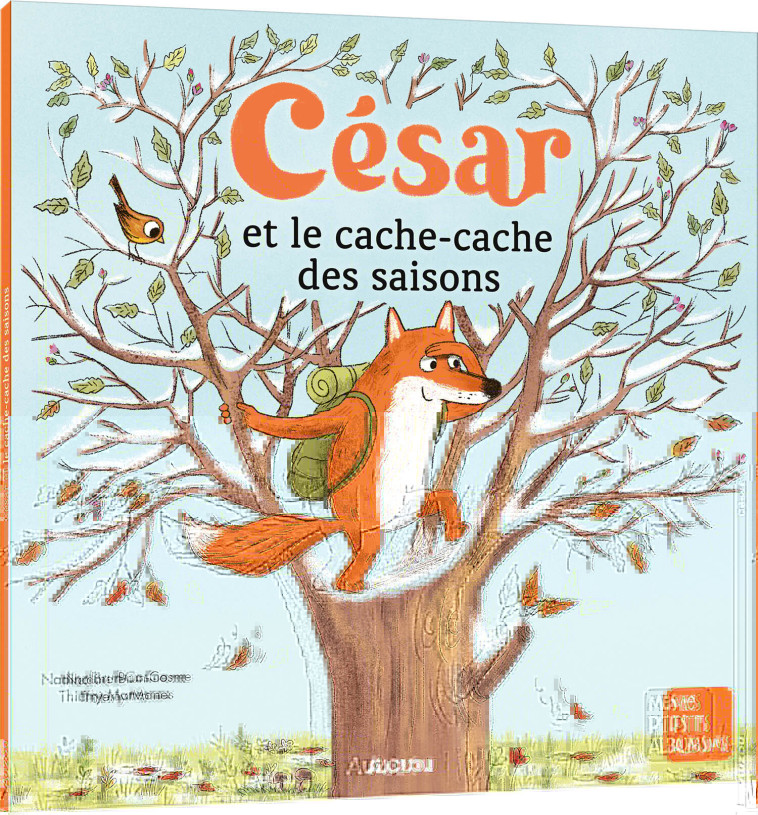 CÉSAR ET LE CACHE-CACHE DES SAISONS - Nadine Brun-Cosme, Thierry MANÈS - AUZOU