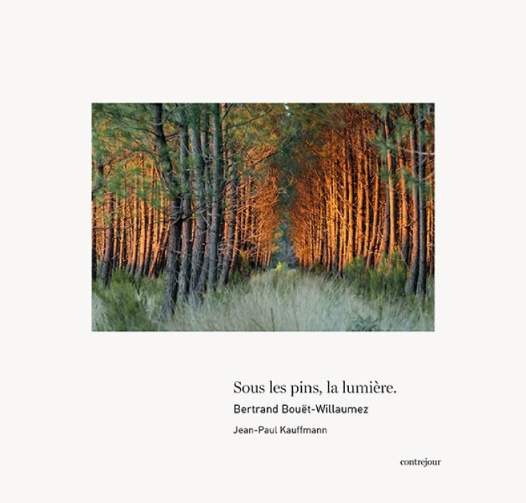 Sous les pins, la lumière - Bertrand Bouët-Willaumez, Robert Delpirre, Jean-Paul Kauffmann - CONTREJOUR