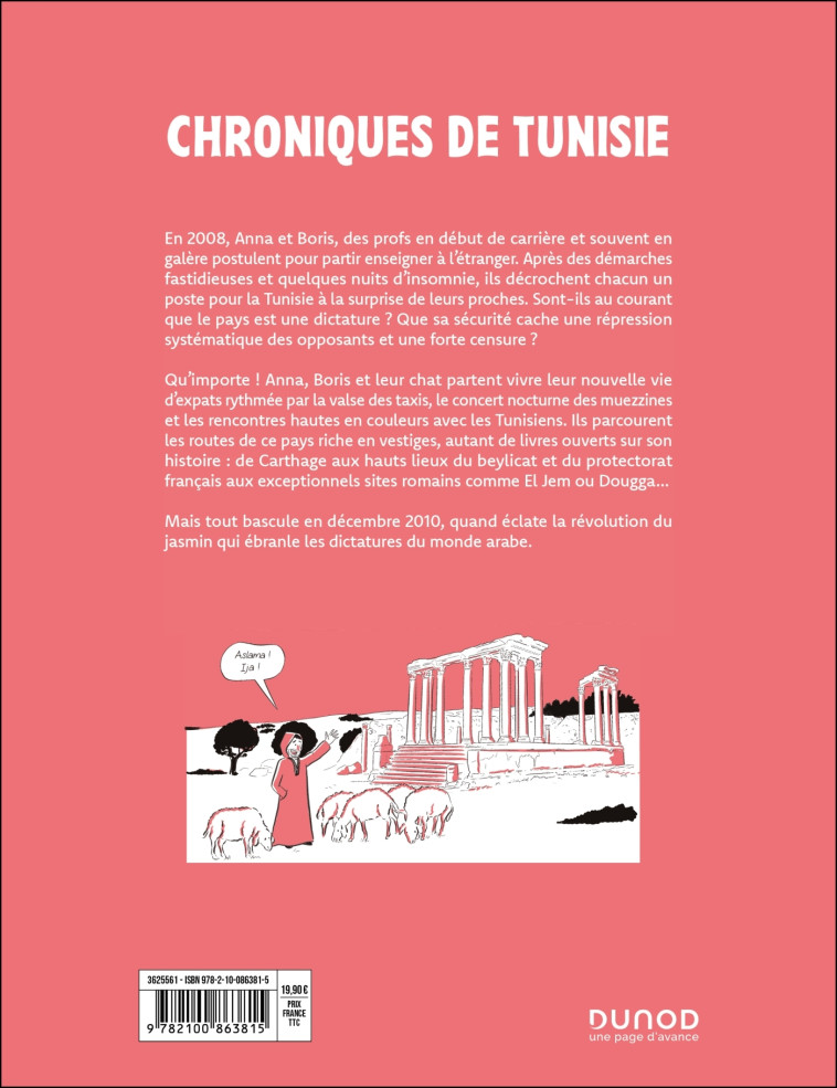 Chroniques de Tunisie - Anna Chronique - DUNOD